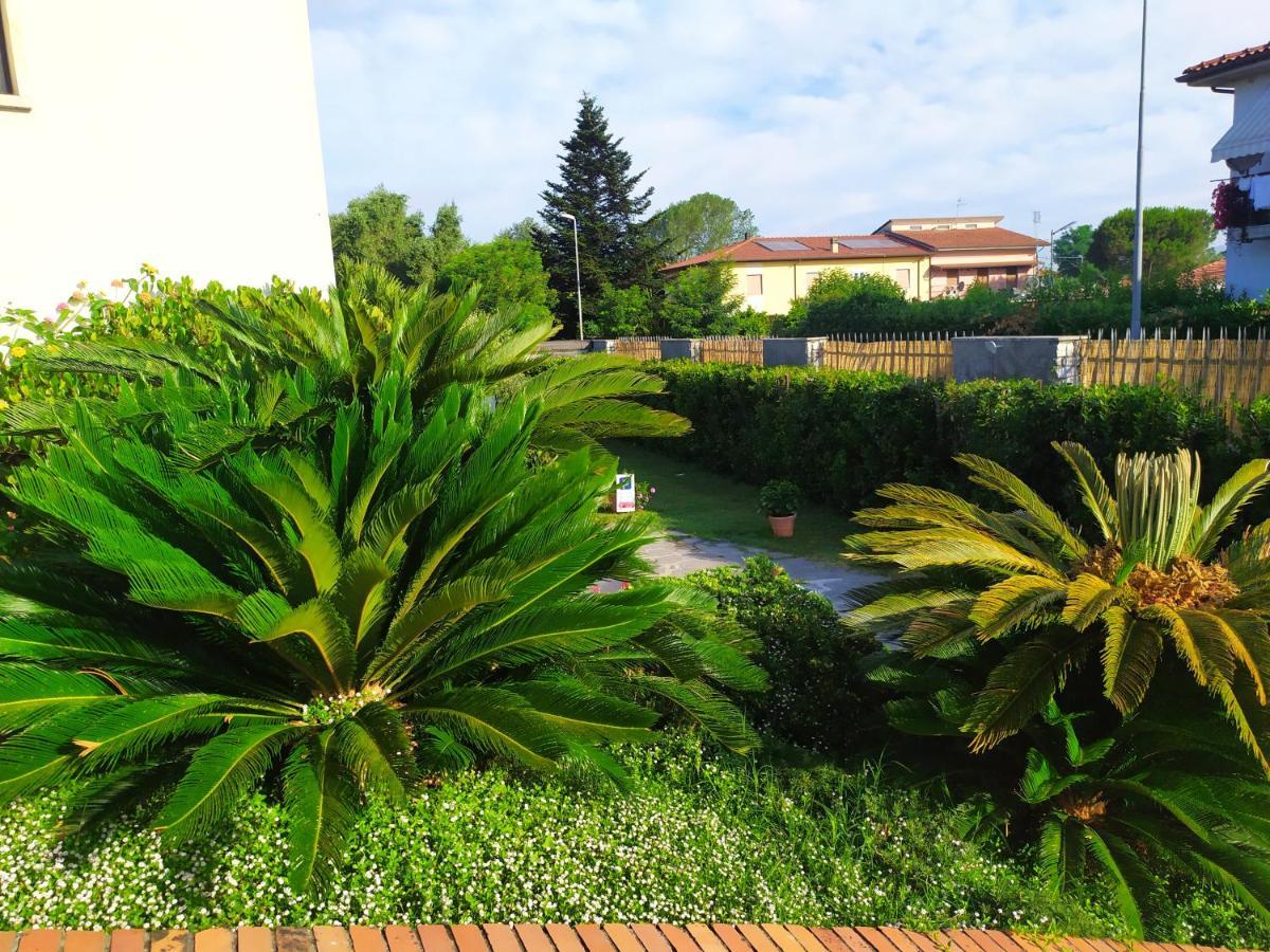 B&B Tra Mare E Marmo Marina Di Carrara Exterior foto